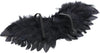 Black Wings